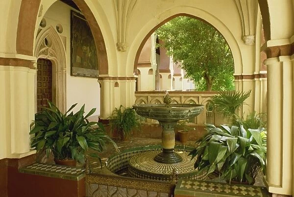 Interior with fountain and plants in the patio of the