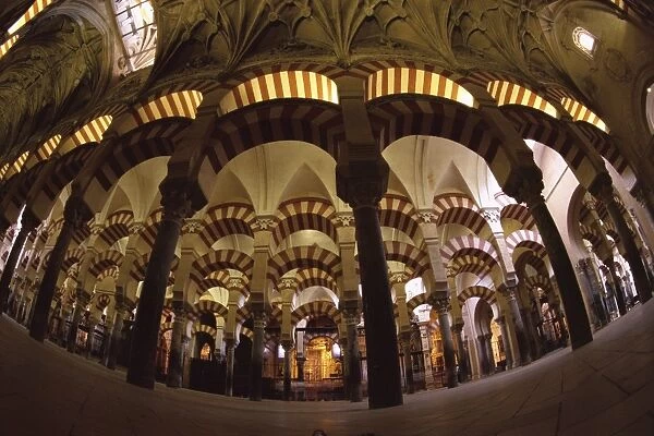 Interior of the Great Mosque (Mezquita)