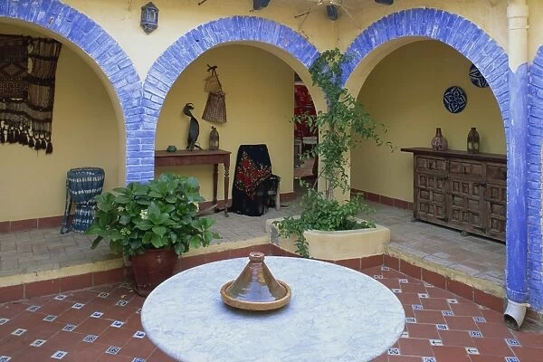 Interior patio in a house in Andalucia (Andalusia)