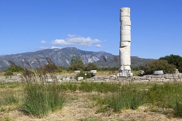 Ireon archaeological site with column of the Temple of Hera, Ireon, Samos, Aegean Islands, Greece