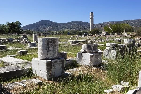 Ireon archaeological site with columns of the Temple of Hera, Ireon, Samos, Aegean Islands, Greece