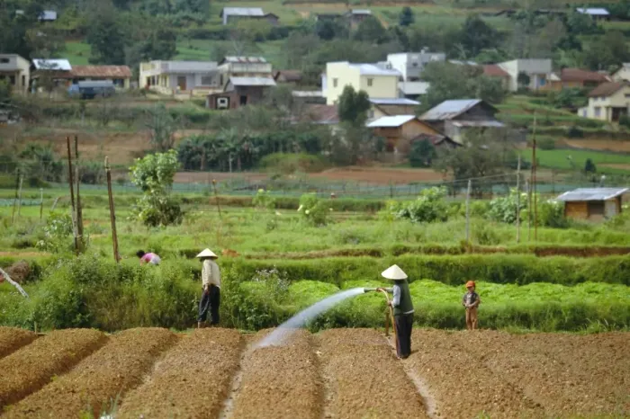 Framed Print : Irrigating fields near Dalat Framed Print : Irrigating fields near Dalat