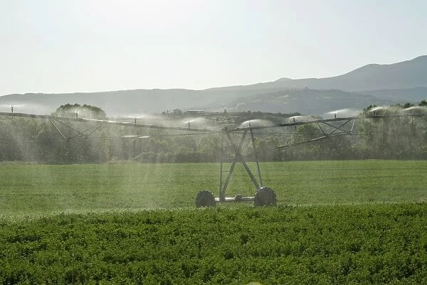 Irrigation in countryside near San Quirico d Orcia, Siena, Tuscany, Italy, Europe