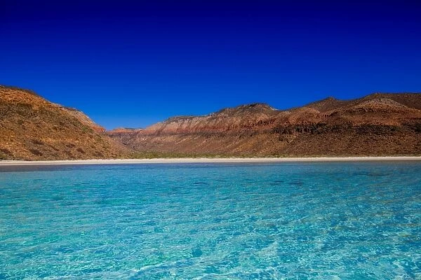 Isla del Espiritu Santo, Baja California Sur, Mexico, North America