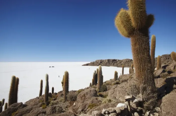 Framed Print : Isla del Pescado (Fish Island) on Salar de Uyuni (Salt Flats of Uyuni), Potosi Department, Bolivia, South America Framed Print : Isla del Pescado (Fish Island) on Salar de Uyuni (Salt Flats of Uyuni), Potosi Department, Bolivia, South America