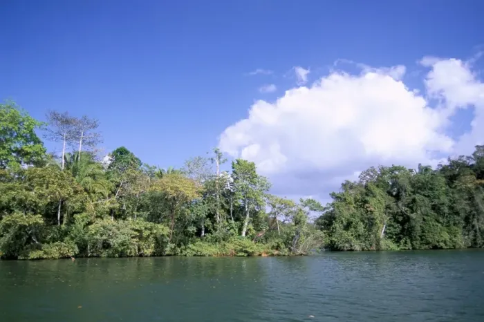 Framed Print : Island on Gatun Lake Framed Print : Island on Gatun Lake