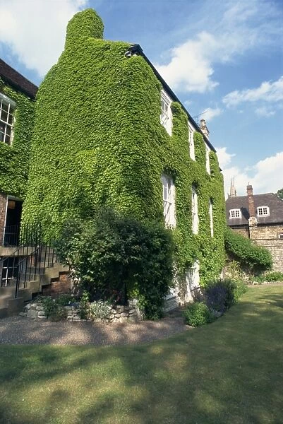 Ivy covered building, Lincoln, Lincolnshire, England, United Kingdom, Europe