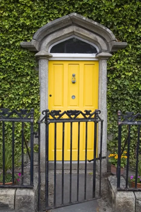Framed Print : Ivy covered doorway, Town of Borris, County Carlow, Leinster, Republic of Ireland, Europe Framed Print : Ivy covered doorway, Town of Borris, County Carlow, Leinster, Republic of Ireland, Europe