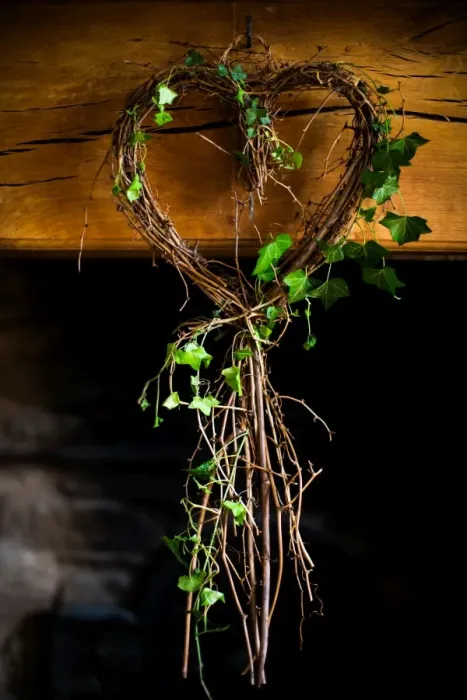 Framed Print : Ivy in heart shape, United Kingdom, Europe Framed Print : Ivy in heart shape, United Kingdom, Europe