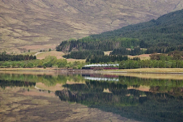 The Jacobite, Fort William to Mallaig railway, Loch Eil, Lochaber, Scotland, United Kingdom, Europe