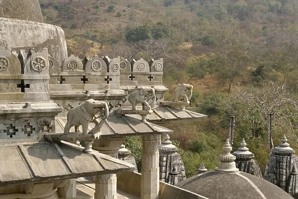 The Jain temple of Chaumukha