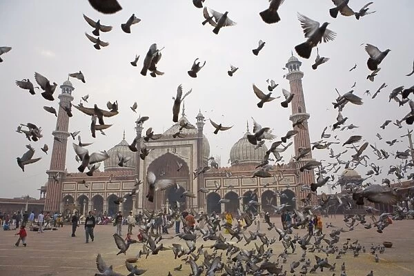 Jama Masjid mosque, Delhi, India, Asia