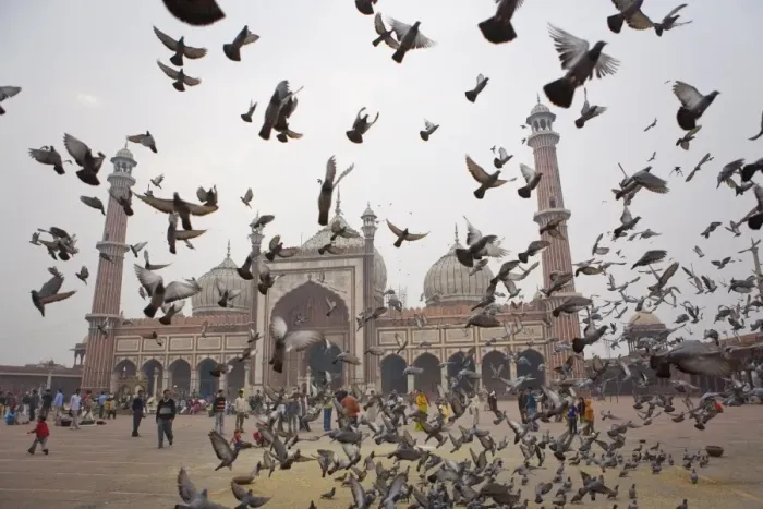 Framed Print : Jama Masjid mosque, Delhi, India, Asia