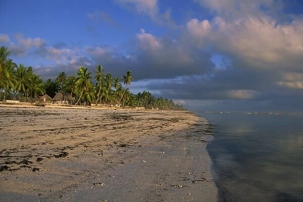 Jambiani beach, Zanzibar, Tanzania, East Africa, Africa