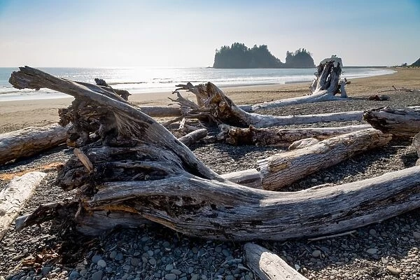 James Island and driftwood on the beach at La Push on the Pacific Northwest, Washington State