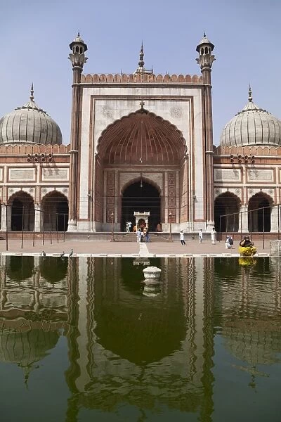 Jami Masjid mosque, Old Delhi, India, Asia