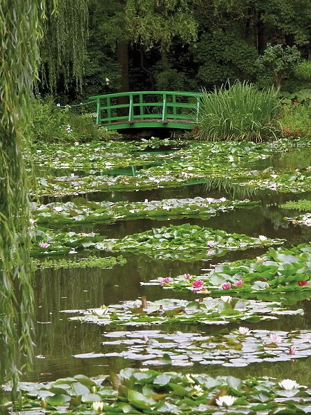 Japanese bridge and lily pond in the garden of the Impressionist painter Claude Monet