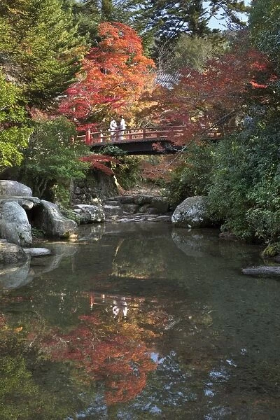 Japanese bridge in Momijidani Park (Japanese Maple Park) in autumn, Miyajima Island