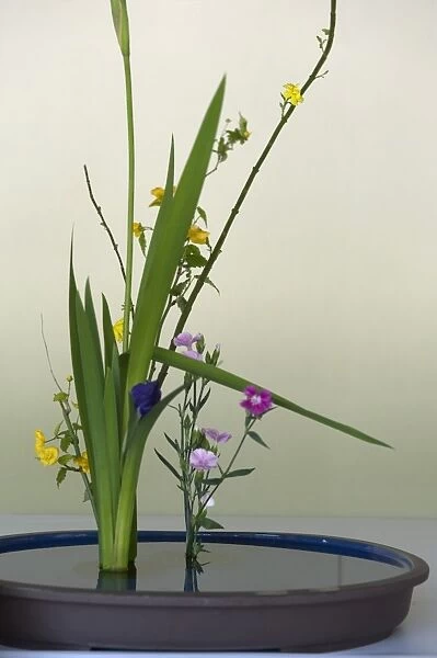 Japanese flower arranging (ikebana) also called the way of flowers (kado), Japan