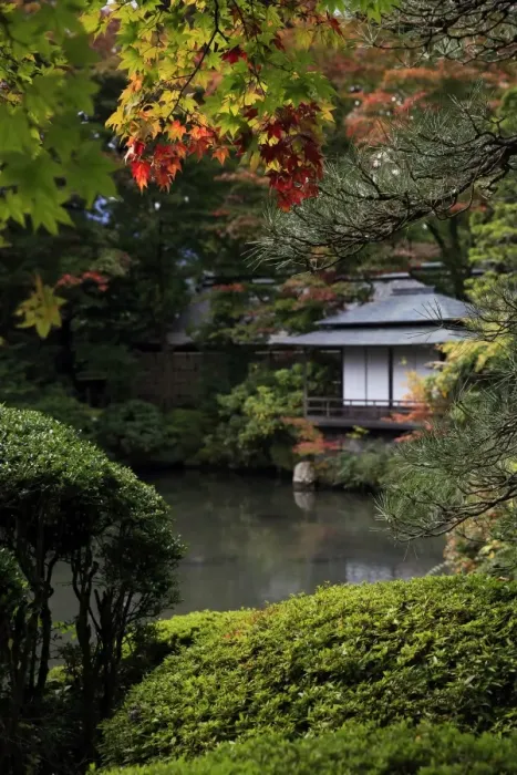 Framed Print : Japanese garden outside the Tokugawa Mausoleum, UNESCO World Heritage Site, Nikko Framed Print : Japanese garden outside the Tokugawa Mausoleum, UNESCO World Heritage Site, Nikko