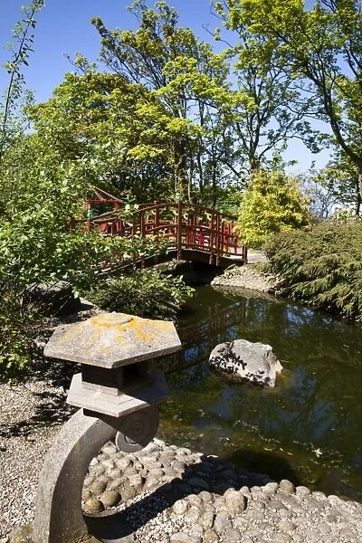 Japanese style garden on the Island at Peasholm Park, Scarborough, North Yorkshire, Yorkshire, England, United Kingdom, Europe