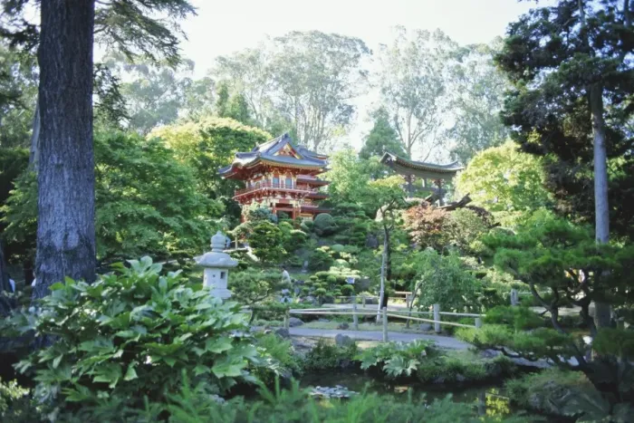 Framed Print : The Japanese Tea Garden Framed Print : The Japanese Tea Garden