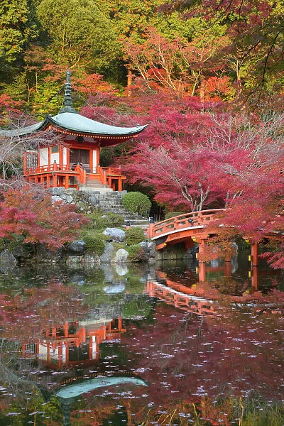 Japanese temple garden in autumn, Daigoji Temple, Kyoto, Japan, Asia
