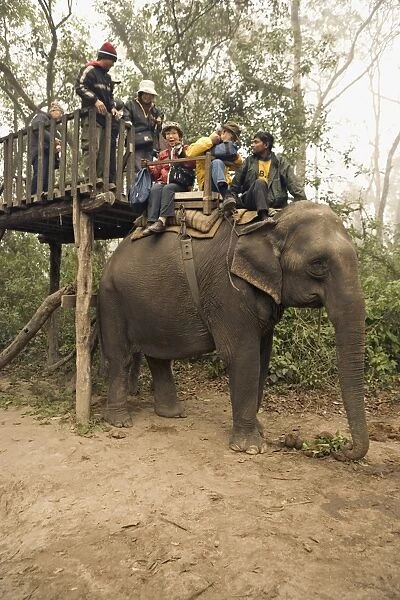 Japanese tourists board the elephant that will take them on safari