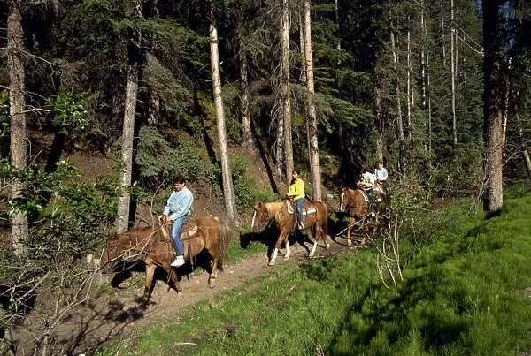 Japanese tourists horse riding, Banff National Park, UNESCO World Heritage Site