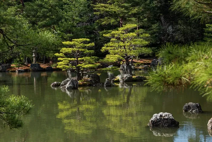 Framed Print : Japanese Zen garden lake Kinkaku-ji (Temple of the Golden Pavilion), UNESCO World Heritage Site, Kyoto, Honshu, Japan, Asia Framed Print : Japanese Zen garden lake Kinkaku-ji (Temple of the Golden Pavilion), UNESCO World Heritage Site, Kyoto, Honshu, Japan, Asia