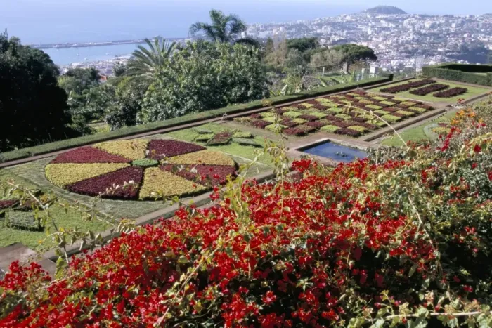 Framed Print : Jardim Botanico (Botanical Gardens)