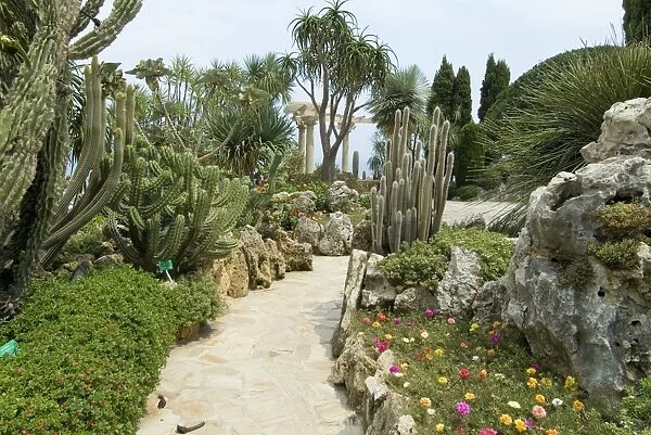 Jardin Exotique, Moneghetti, Monaco, Europe