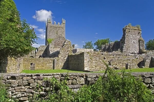 Jerpoint Abbey, County Kilkenny, Leinster, Republic of Ireland, Europe