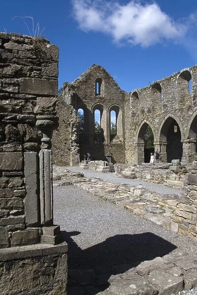 Jerpoint Abbey, County Kilkenny, Leinster, Republic of Ireland, Europe