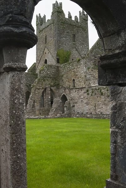 Jerpoint Abbey, County Kilkenny, Leinster, Republic of Ireland (Eire), Europe