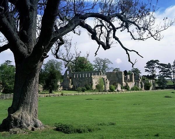 Jervaux Abbey near Masham, North Yorkshire, Yorkshire, England, United Kingdom, Europe