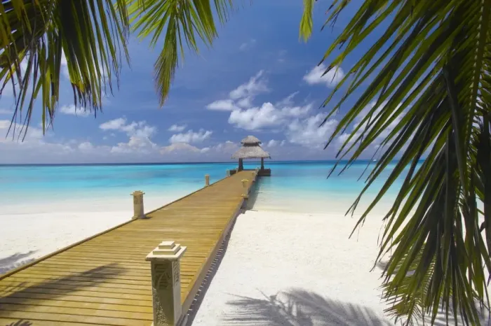 Framed Print : Jetty leading out to tropical sea, Maldives, Indian Ocean, Asia Framed Print : Jetty leading out to tropical sea, Maldives, Indian Ocean, Asia