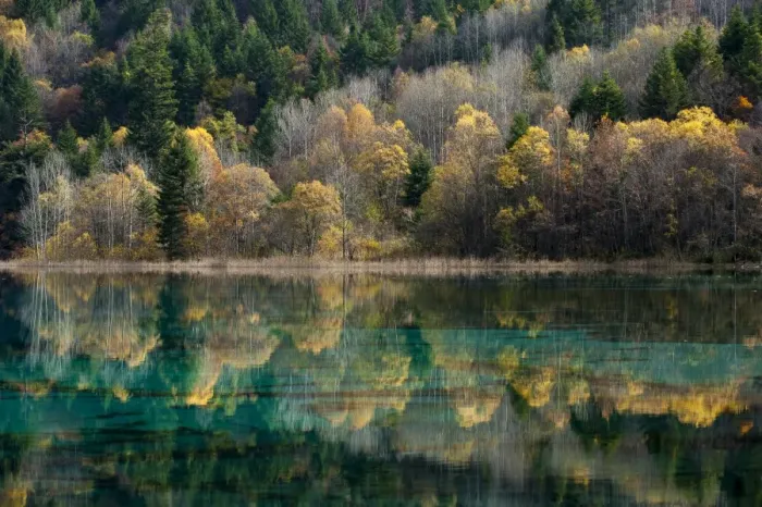 Framed Print : Jiuzhaigou on the edge of the Tibetan Plateau, known for its waterfalls and colourful lakes Framed Print : Jiuzhaigou on the edge of the Tibetan Plateau, known for its waterfalls and colourful lakes