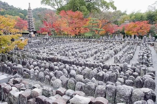 Jizo stone statues and autumn maple leaves at Adashino Nenbutsu dera temple