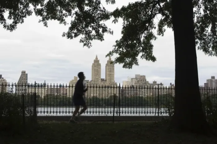 Framed Print : Jogger, Central Park Framed Print : Jogger, Central Park
