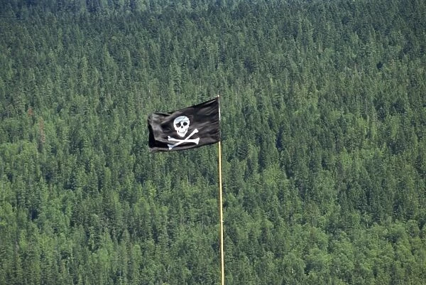 Jolly Roger flag flying at Schuswap Lake, British Columbia, Canada, North America