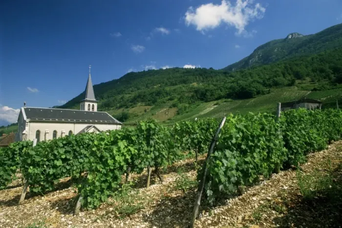 Framed Print : Jonjieux (Jonzieux), Savoie vineyards, Rhone Alpes, France, Europe Framed Print : Jonjieux (Jonzieux), Savoie vineyards, Rhone Alpes, France, Europe