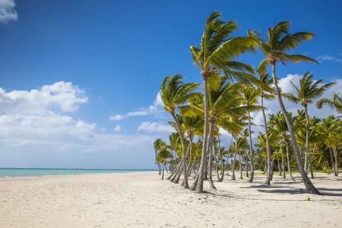 Framed Print : Juanillo Beach, Cap Cana, Punta Cana, Dominican Republic, West Indies, Caribbean Framed Print : Juanillo Beach, Cap Cana, Punta Cana, Dominican Republic, West Indies, Caribbean