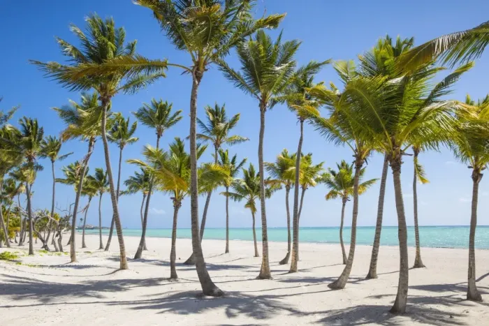 Framed Print : Juanillo Beach, Cap Cana, Punta Cana, Dominican Republic, West Indies, Caribbean Framed Print : Juanillo Beach, Cap Cana, Punta Cana, Dominican Republic, West Indies, Caribbean