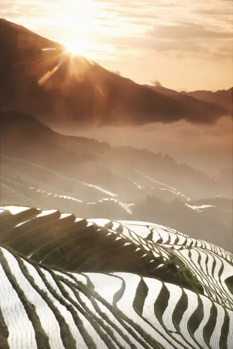 Framed Print : June sunrise, Longsheng terraced ricefields, Guangxi Province, China, Asia Framed Print : June sunrise, Longsheng terraced ricefields, Guangxi Province, China, Asia