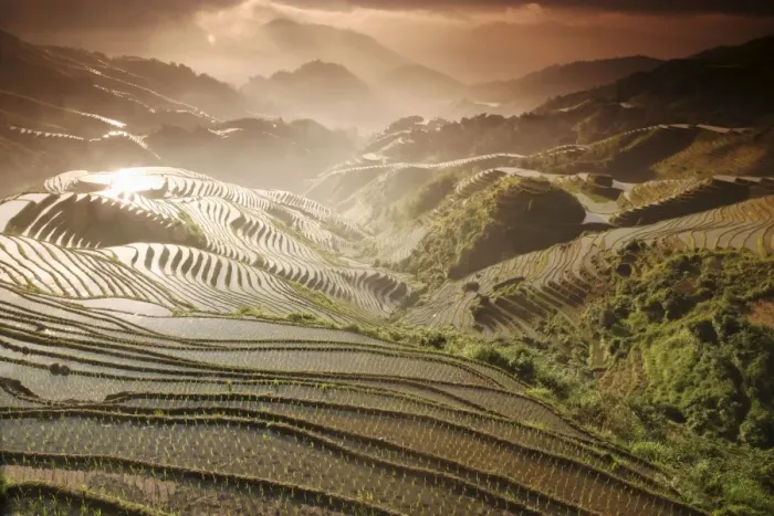 Framed Print : June sunrise, Longsheng terraced ricefields, Guangxi Province, China, Asia Framed Print : June sunrise, Longsheng terraced ricefields, Guangxi Province, China, Asia