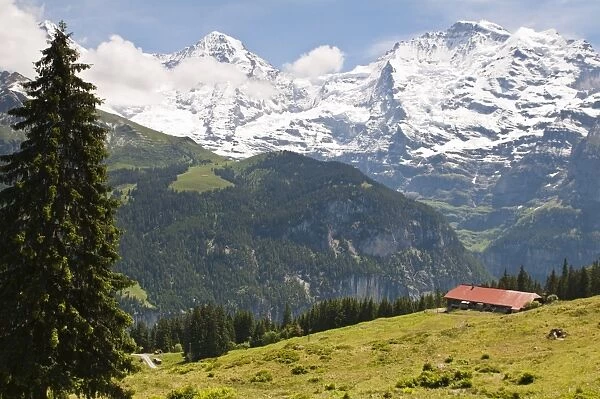 Jungfrau massif from Murren, Jungfrau Region, Switzerland, Europe