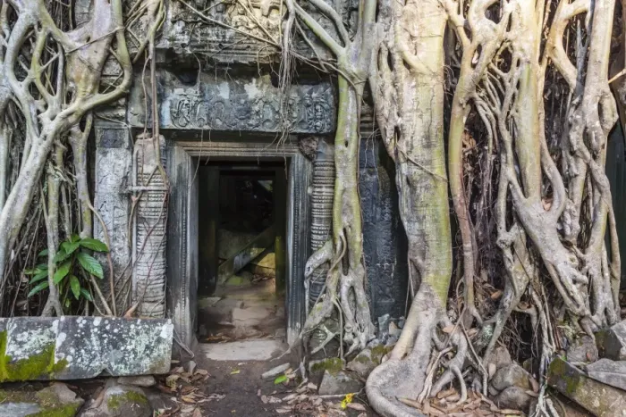 Framed Print : Jungle overgrowth at Ta Prohm Temple (Rajavihara), Angkor, UNESCO World Heritage Site, Siem Reap Province, Cambodia, Indochina, Southeast Asia, Asia Framed Print : Jungle overgrowth at Ta Prohm Temple (Rajavihara), Angkor, UNESCO World Heritage Site, Siem Reap Province, Cambodia, Indochina, Southeast Asia, Asia