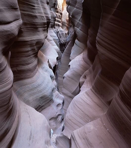 Kabito Canyon, a slot canyon, Arizona, United States of America (U