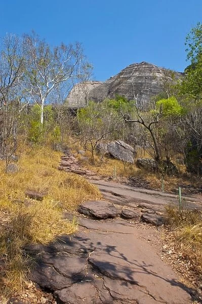 Kakadu National Park, UNESCO World Heritage Site, Northern Territory, Australia, Pacific